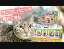 猫にワニワニパニック見せてみた