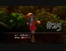 【二人で実況プレイ】二ノ国 ～白き聖灰の女王～ part25