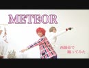 【まほやく】METEOR 踊ってみた【西師弟】