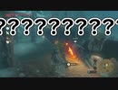 【 #BreathoftheWild 】なんでこいつ斜めに立ってんの????【#ゼルダの伝説ブレスオブザワイルド】