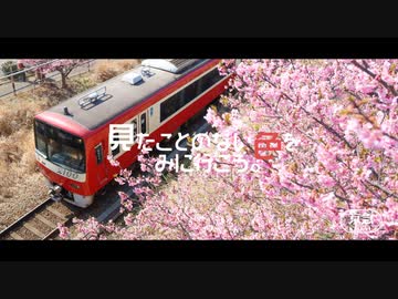 見たことのない色をみに行こう。
