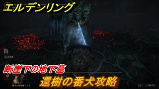エルデンリング　還樹の番犬攻略　断崖下の地下墓！リエーニエのダンジョンボス攻略　＃３５８【ELDEN RING】