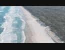 命のために何ができるか feat.flower