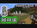 【ゆっくり実況】Minecraft(Java版) 単調作業愛好家のマイクラ #8【拠点周りの整備】