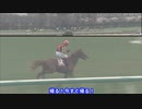 オルフェーヴルの気持ち【馬の気持ちシリーズ】 阪神大賞典2012【競馬】パイセンの競馬チャンネル