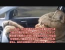 愛のために死す１５