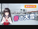 【ゆうひリポート】#6 春の大雪【#Shorts】【北海道】