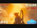 ハイラル城探索編【ゼルダの伝説 ブレスオブザワイルド マスターモード】#49