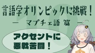 【マプチェ語】言語学オリンピックの問題に挑戦！Part10【言語のパズル】