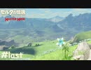 100年前より敵が強い【ゼルダの伝説 ブレスオブザワイルド マスターモード】#last