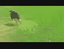 【ボイスピ実況】依頼を受けて、イチカラ村の飼い犬はどこまで運んだら帰宅を諦めるのか確認してみた【ドリカラ】【ブレワイ,ゼルダの伝説ブレスオブザワイルド,BotW,ゼル伝】