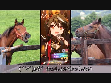 【ゆっくり】やまくじらのウマ娘～１周年キタサンブラックガチャ～