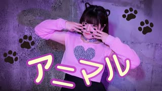 【素直】アニマル【踊ってみた】