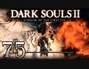 【DARK SOULS2 SCHOLAR OF THE FIRST SIN】1をプレイしてからのダークソウル2 part75【初見実況】