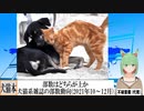 【動画News】犬と猫、専門誌販売部数が上なのは…犬猫系雑誌の部数動向(2021年10～12月)(2022/03/21)