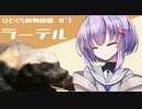 ひとくち動物図鑑　#７　ラーテル　[VOICEROID解説]