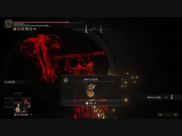 [エルデンリング]ナメクジの侵入