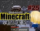 好奇心のままにMinecraftを半初見実況 part25