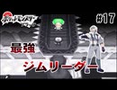 【実況】激闘‼︎ソウリュウシティ最強のドラゴンタイプジムリーダー”シャガ”【ポケモンbw】#17