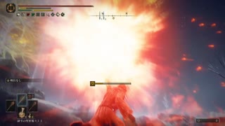 聖女の火をくらえ！（やけくそ）