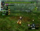 【MHP2G】地雷神の日記-G級太古の森と漆黑の獸 on Xlink (3/4)
