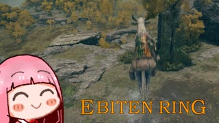 ひとくちエビ天リング　#9