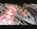 うらたんざわとかいう携帯が圏外になる管理釣り場(前編)