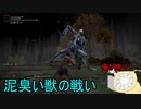 【実況】寄生虫がエルデンリングの世界にやってきたの　１２【初見プレイ】