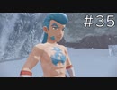 寒そうだけど暑そう【Pokémon LEGENDS アルセウス 実況#35】