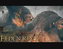 信仰技量の王となる。part _ 013【ELDENRING _ エルデンリング】
