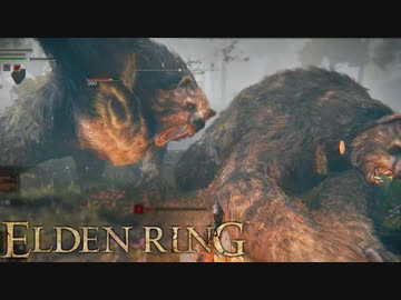 信仰技量の王となる。part _ 013【ELDENRING _ エルデンリング】