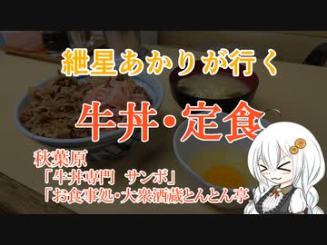 紲星あかりが行く！～牛丼・定食～＠秋葉原