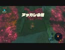 オタメガのブレワイ　05　1/13