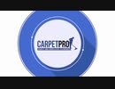 Professional carpet cleaning company in Maidstone.