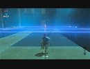 オタメガのブレワイ　05　2/13