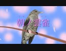 朝ノ雲雀／ほっきい【オリジナル曲】《MV》