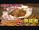 本物のミイラ1ヶ月熟成肉作ってみた Insane Real mummy Dry Age Experiment!!