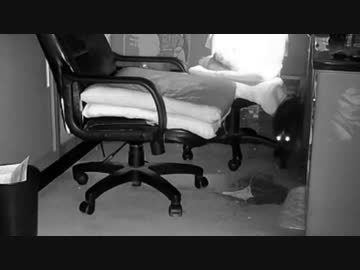 あずきの誘いを無視する小麦