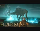 信仰技量の王となる。part _ 014【ELDENRING _ エルデンリング】