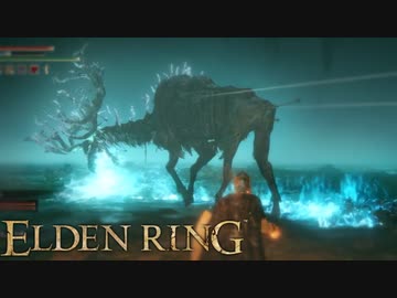 信仰技量の王となる。part _ 014【ELDENRING _ エルデンリング】