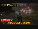 エルデンリング　さまよえる貴人の遺灰の動き方！遺灰紹介！　＃４０５【ELDEN RING】