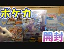 【ポケカ開封】モルモットと一緒にフュージョンアーツ開封してみた【モルモット】