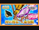 【DQ11S】女性には命令できない男のドラクエ初見実況プレイ Part25