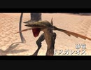 【初実況】MHXX part3