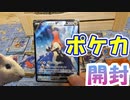 【ポケカ開封】モルモットと一緒にバトルリージョン開封してみた【モルモット】