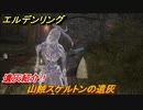 エルデンリング　山賊スケルトンの遺灰の動き方！遺灰紹介！　＃４０８【ELDEN RING】