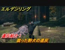 エルデンリング　腐った野犬の遺灰の動き方！遺灰紹介！　＃４１２【ELDEN RING】