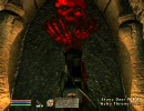 Oblivion ジルの大冒険 Part65