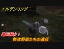 エルデンリング　特攻野郎たちの遺灰の動き方！遺灰紹介！　＃４１６【ELDEN RING】