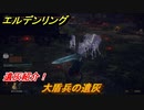 エルデンリング　大盾兵の遺灰の動き方！遺灰紹介！　＃４１７【ELDEN RING】